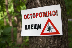 Осторожно: клещи! Осторожно: клещи!.